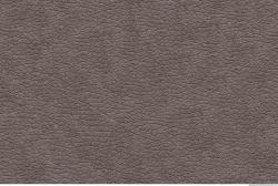 Photo Texture of Wallpapers #9